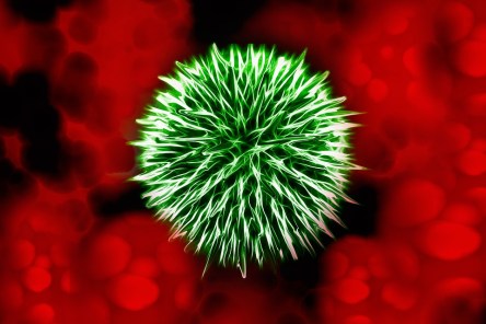 bacteria-1744857_960_720