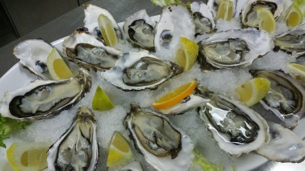 oysters-608905_960_720.jpg