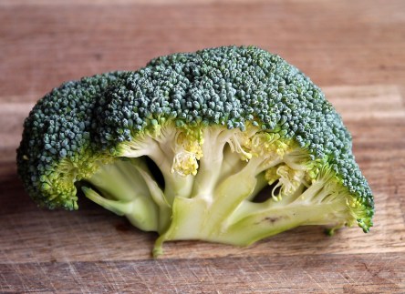 broccoli-498600_960_720.jpg