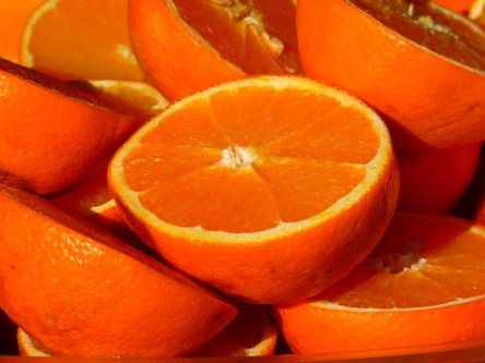 orange-15046_960_720.jpg