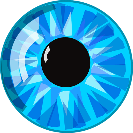 eye-23753_960_720.png