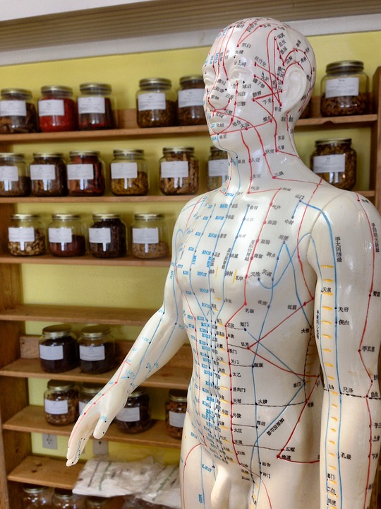 acupuncture-2308489_960_720.jpg