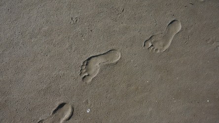 footprint-2143685_960_720.jpg