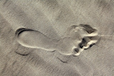 footprint-2431025_960_720.jpg