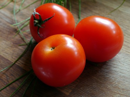 tomato-498721_1280.jpg