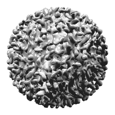 hepatitis-b-virus-1186583_1280.png