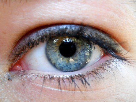eye-1265867_1280