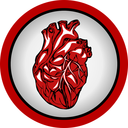 heart-738385_960_720.png