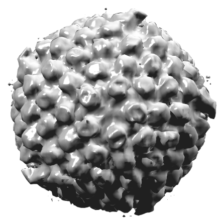 herpes-simplex-virus-type-i-1186534_1280.png