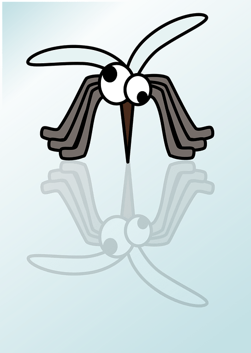 mosquito-23189_960_720.png