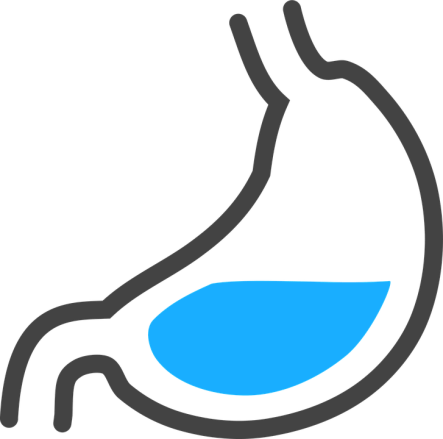 stomach-2177194_960_720