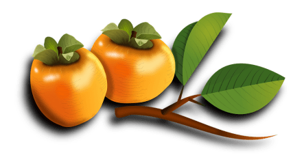 persimmons-1992072_960_720.png
