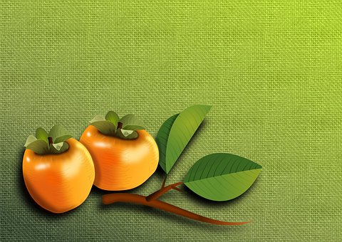 persimmons-1992073__340