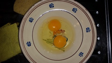 eggs-1075827_960_720.jpg