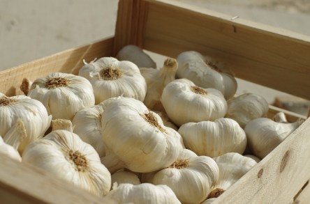 garlic-3164849_960_720.jpg