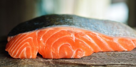 salmon-3139390_960_720.jpg