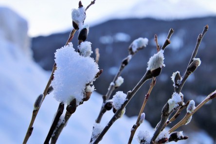 the-basis-of-3134354_960_720